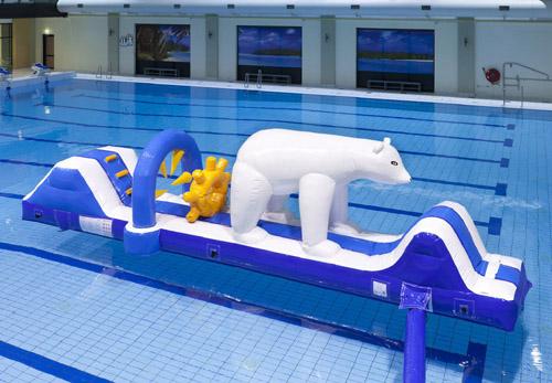 Zwembad run ijsbeer, 9,0x2,3x2,4 meter