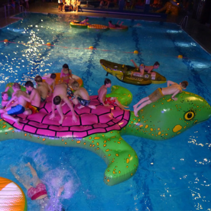 Opblaasbare schildpad, 600x430x80 cm