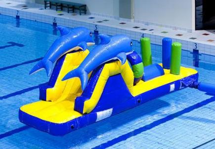 Dolfijn run met slide, 6,0x1,8x1,8 meter