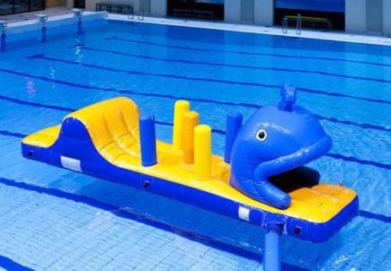Walvis run met slide, 7,0x1,8x1,6 meter