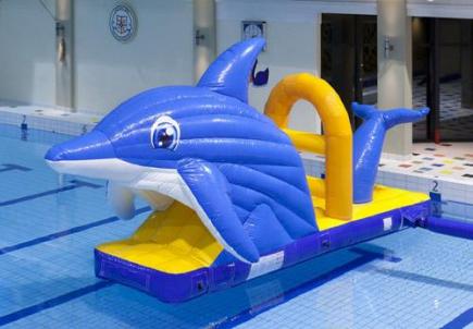 Zwembad glijbaan dolfijn, 6,0x2,0x3,0 meter