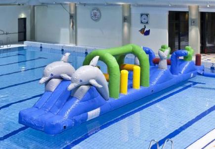 Zwembad run dolfijn, 12,0x2,0x2,3 meter