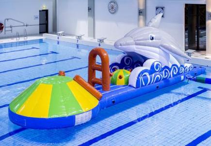 Dolfijnslide, 10,0x2,1x2,7 meter