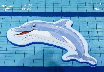 Zwemvlot springende dolfijn, opblaasbaar, 220x160x10 cm