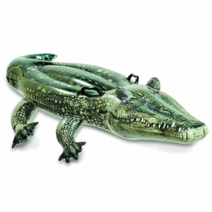 Intex krokodil ride-on | realistische print | 170x86 cm